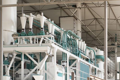 河南中瑞糧油機械 面粉加工工藝流程、設(shè)備制造與光伏設(shè)備銷售業(yè)務(wù)概覽